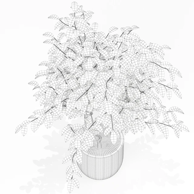 Plants collection 163 — Descargar