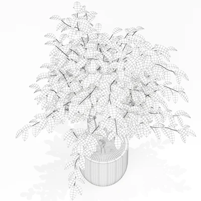 Plants collection 163 — Ver 3