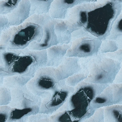 Ice with Snow — Ver 4