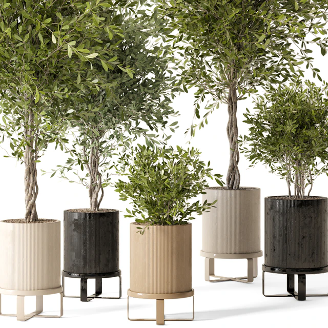 Indoor Plants in Ferm Living Bau Pot Large - Set 354 — Скачать
