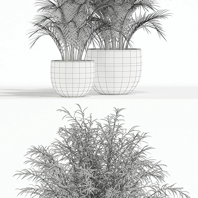 Plants collection 136 — Скачать