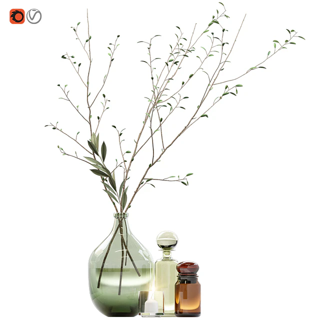 Decorative set with branches and glass bottles — Скачать