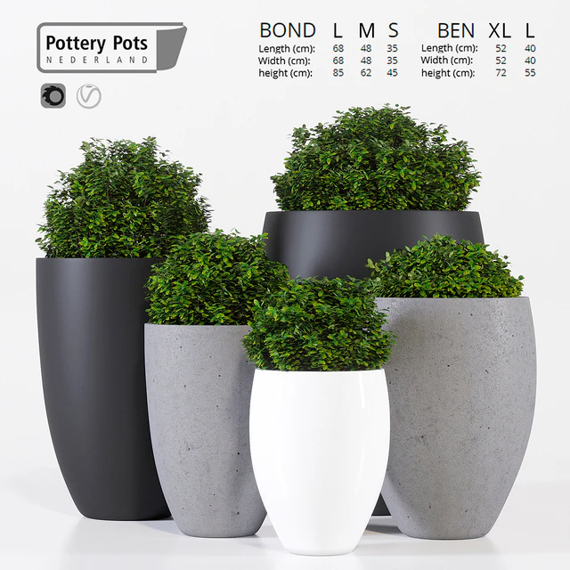 Potterypots five — Descargar