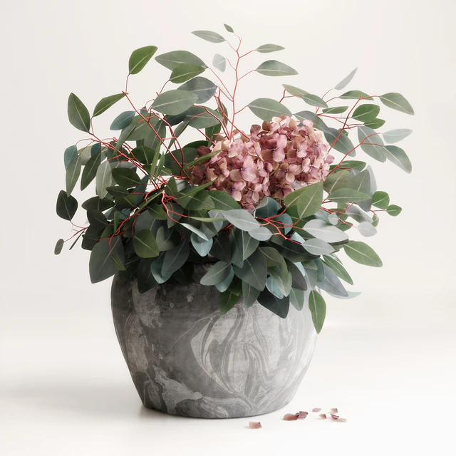 Bouquet of Eucalyptus with Hydrangea — Descargar