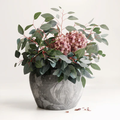 Bouquet of Eucalyptus with Hydrangea — Ver 1
