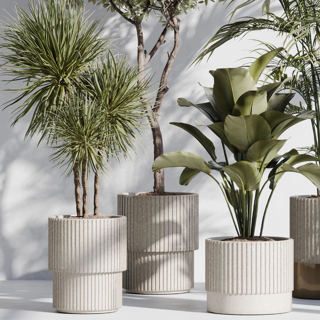 indoor plant set 78 — Descargar