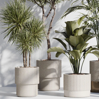 indoor plant set 78 — Ver 6