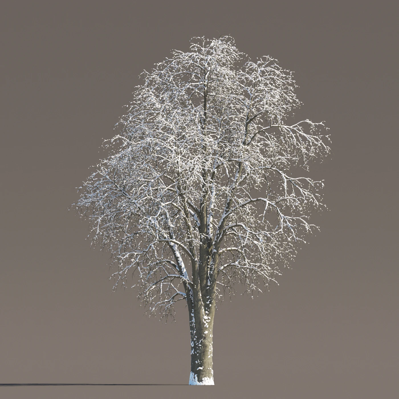 068 winter — Download