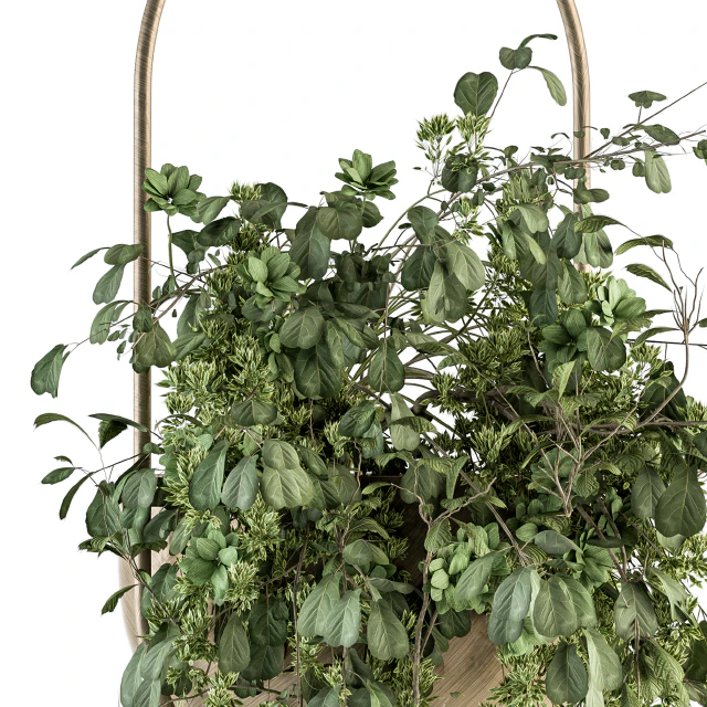 indoor Plant Set 283 - Hanging Plants — Descargar