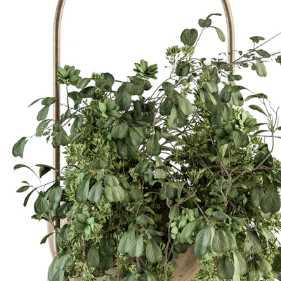 indoor Plant Set 283 - Hanging Plants — Ver 4