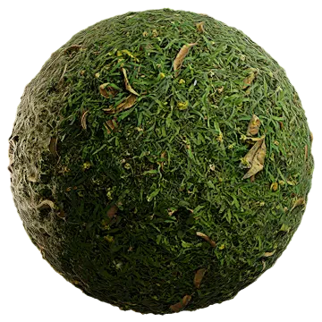 wild grass 060 — Скачать