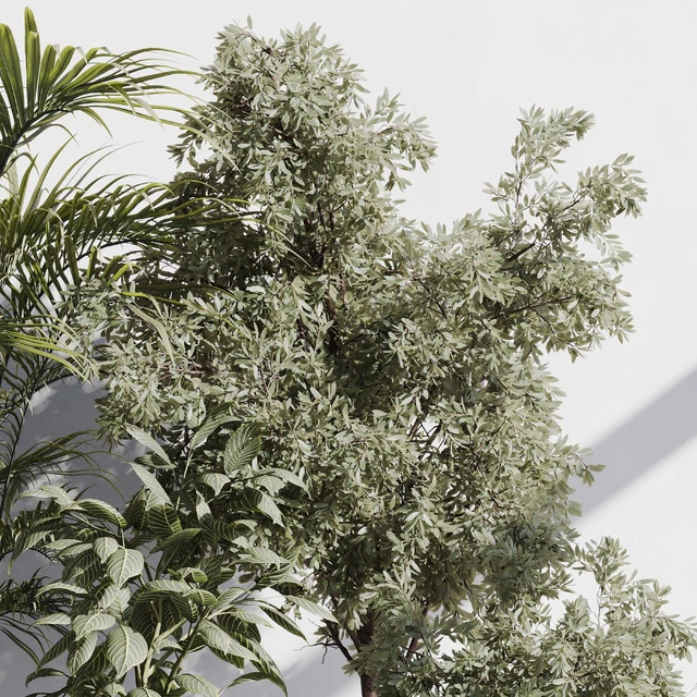 indoor plant set 85 — Скачать