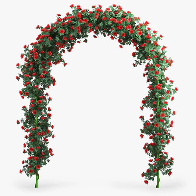 Rose Arch — Вид 1