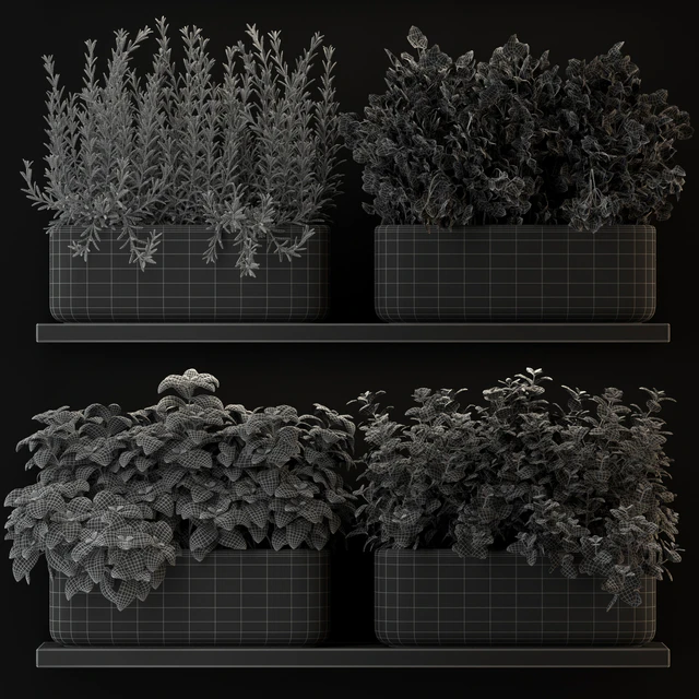 Plants collection 262 — Скачать
