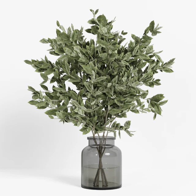 collection of indoor plants Vol04 — Скачать