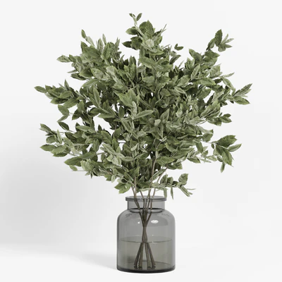 collection of indoor plants Vol04 — скачать