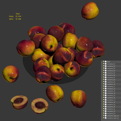 Nectarine — Ver 4