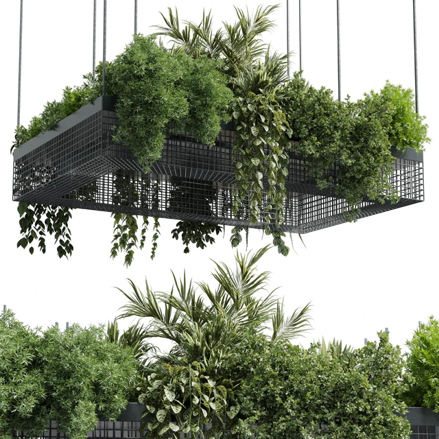 hanging plants - indoor plant set 447 Rectangle pendant pot vray — Скачать