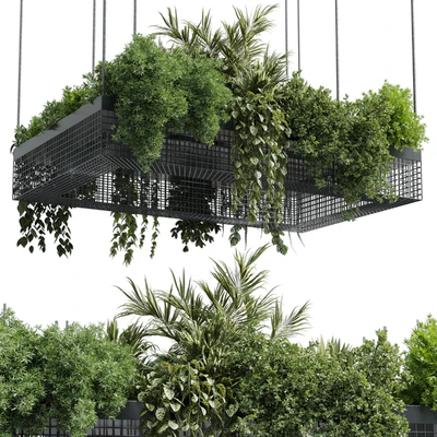 hanging plants - indoor plant set 447 Rectangle pendant pot vray — Вид 1