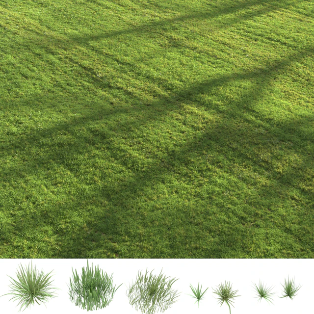 Summer grass — Скачать