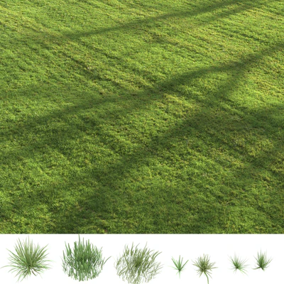 Summer grass — Вид 3
