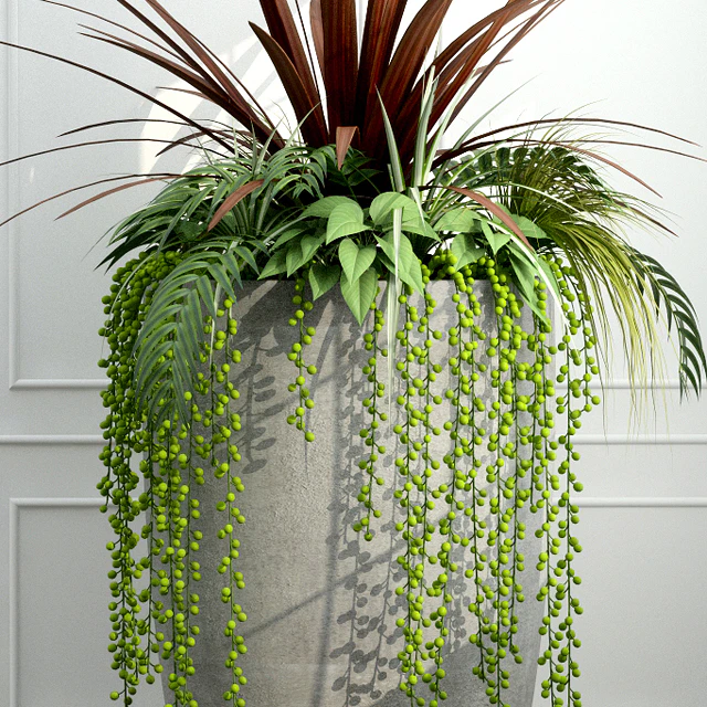 Room plants 12 — Descargar