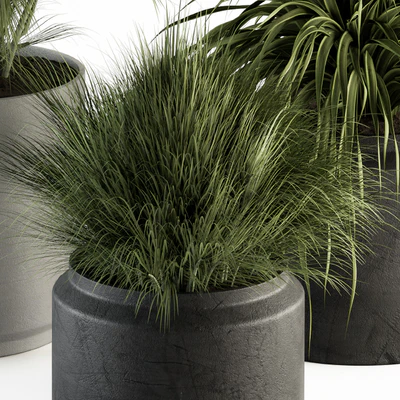 indoor Plant Set 223 - Plant Set in pot — Вид 5