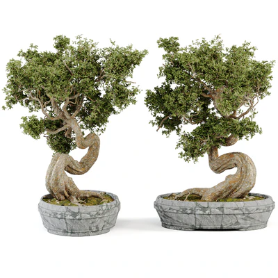 Bonsai Set Vol.01 — Вид 4