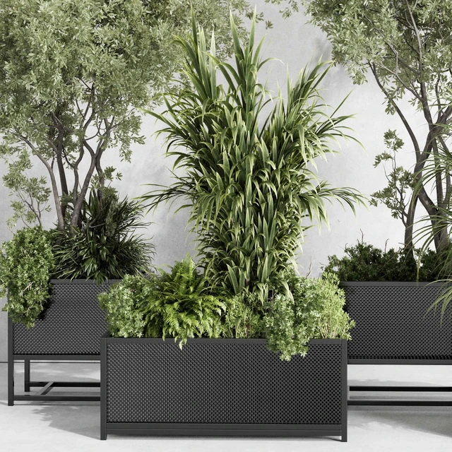 metal box plants on stand - set indoor plant 425 — Скачать