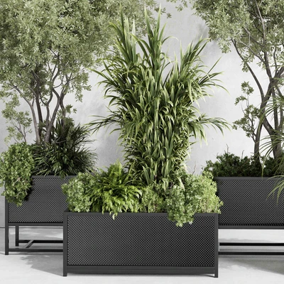 metal box plants on stand - set indoor plant 425 — Вид 6