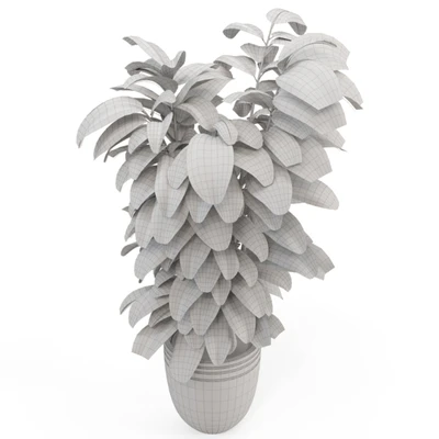 Indoor Plants in rusty Concrete Pot - Set 881 — Вид 6