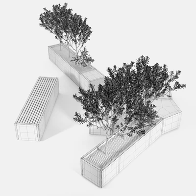 BOX PLANTER Olea europaea 02 — Ver 3