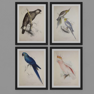 Parrot set — Ver 3