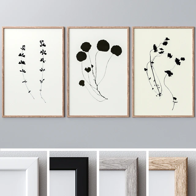 Photo Frames Set 1087 — Descargar
