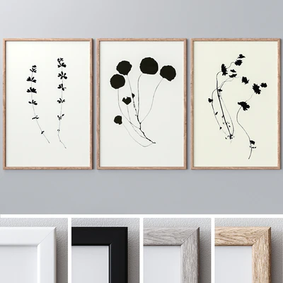 Photo Frames Set 1087 — Ver 1