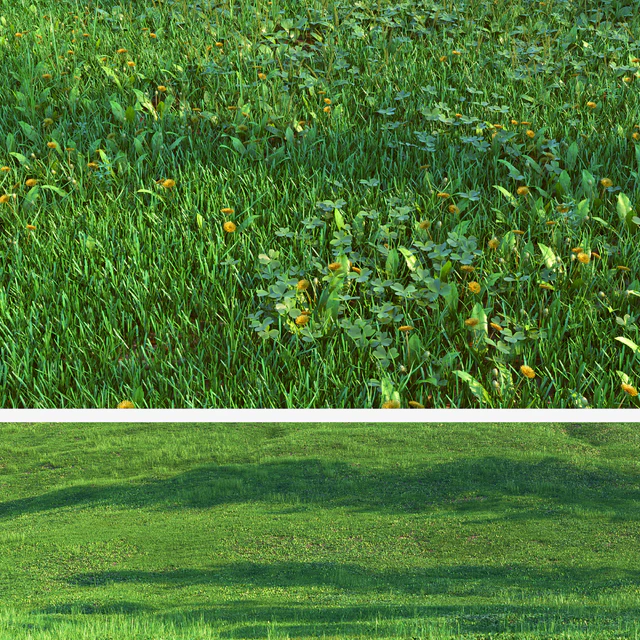 Set for the creation of field grass and lawns — Descargar