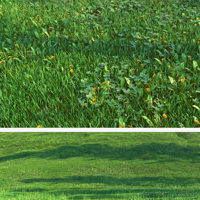 Set for the creation of field grass and lawns — Ver 3