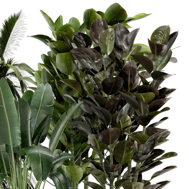 Indoor Plants in rusty Concrete Pot on Metal Shelf - Set 242 — Descargar