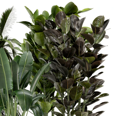 Indoor Plants in rusty Concrete Pot on Metal Shelf - Set 242 — Ver 7