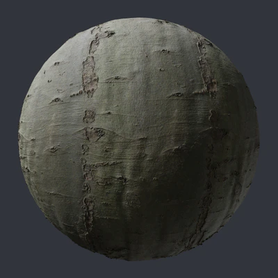 beech bark 005 — Descargar