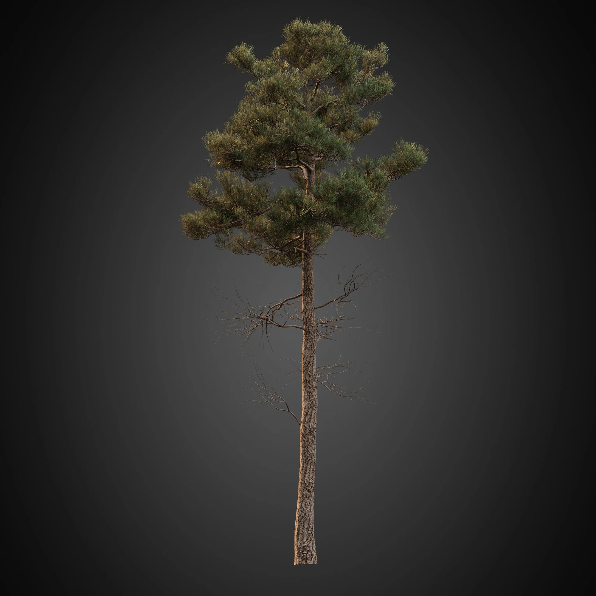 002 — Download