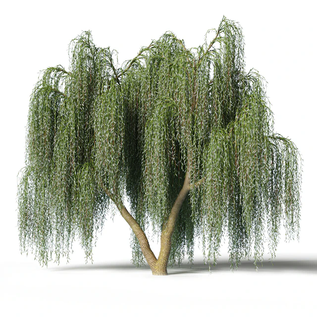 Willow — Descargar