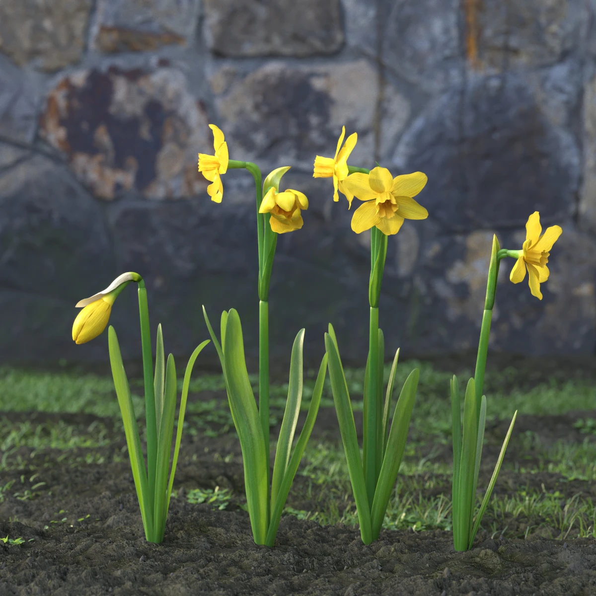 garden flowers 019 — Descargar