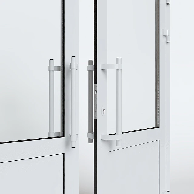 Entrance aluminum door — Descargar