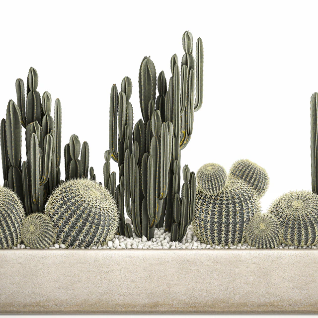 Collection of desert plants in a vase of cacti, cereus and echinocactus, barrel cactus. Set 1097. — Descargar