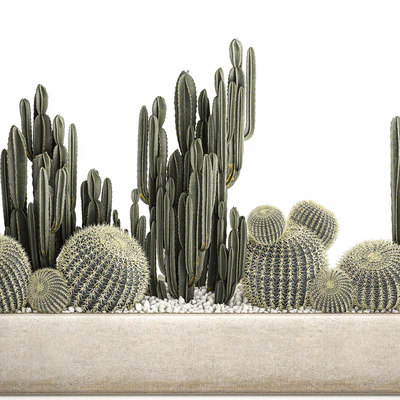 Collection of desert plants in a vase of cacti, cereus and echinocactus, barrel cactus. Set 1097. — Ver 5