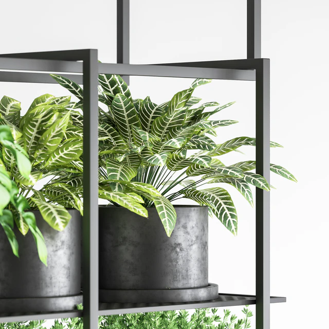collection Indoor plants hanging pot metal 01 — Descargar