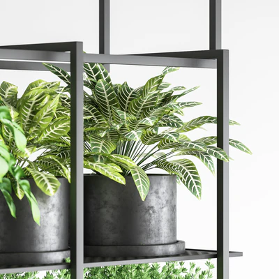 collection Indoor plants hanging pot metal 01 — Ver 6