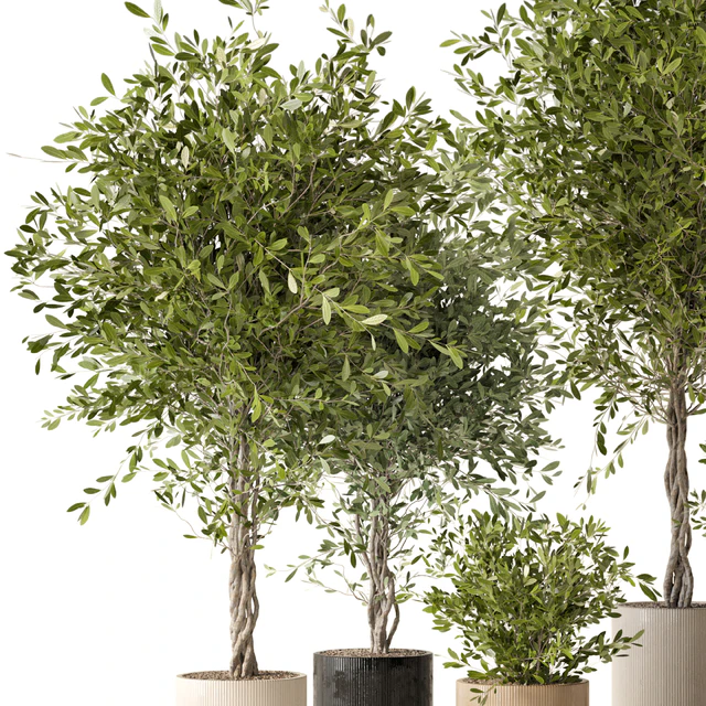 Indoor Plants in Ferm Living Bau Pot Large - Set 354 — Скачать