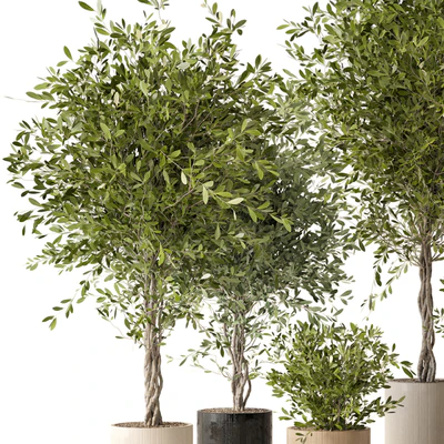 Indoor Plants in Ferm Living Bau Pot Large - Set 354 — Вид 7